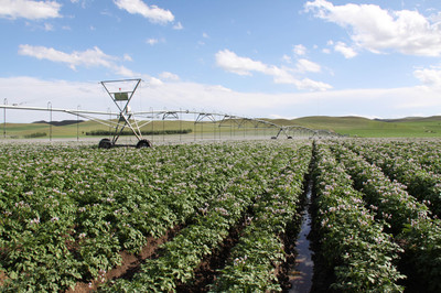 內蒙古農作物良種覆蓋率達98%以上，現代農業發展邁上新臺階